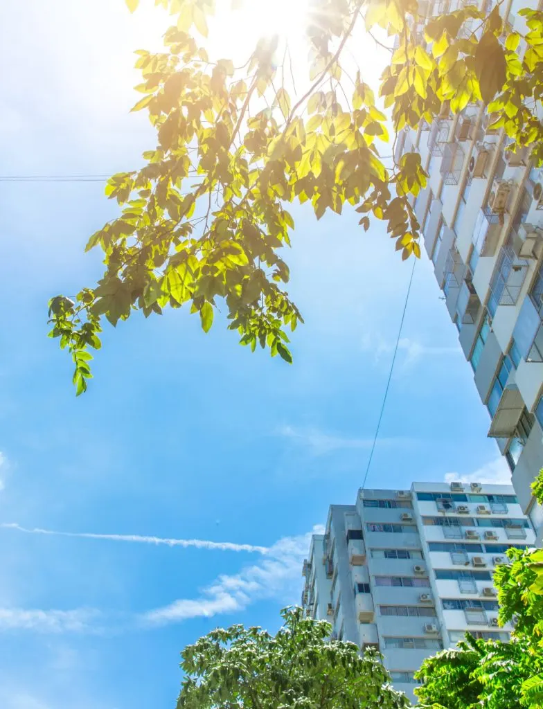 blue sky apartments and trees