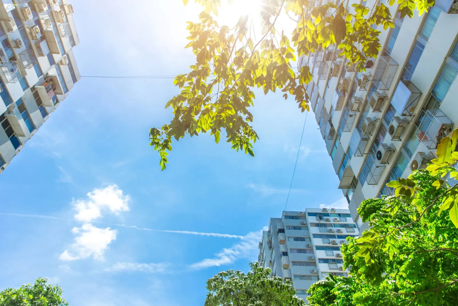 High-rise apartment buildings and green trees under a clear sky