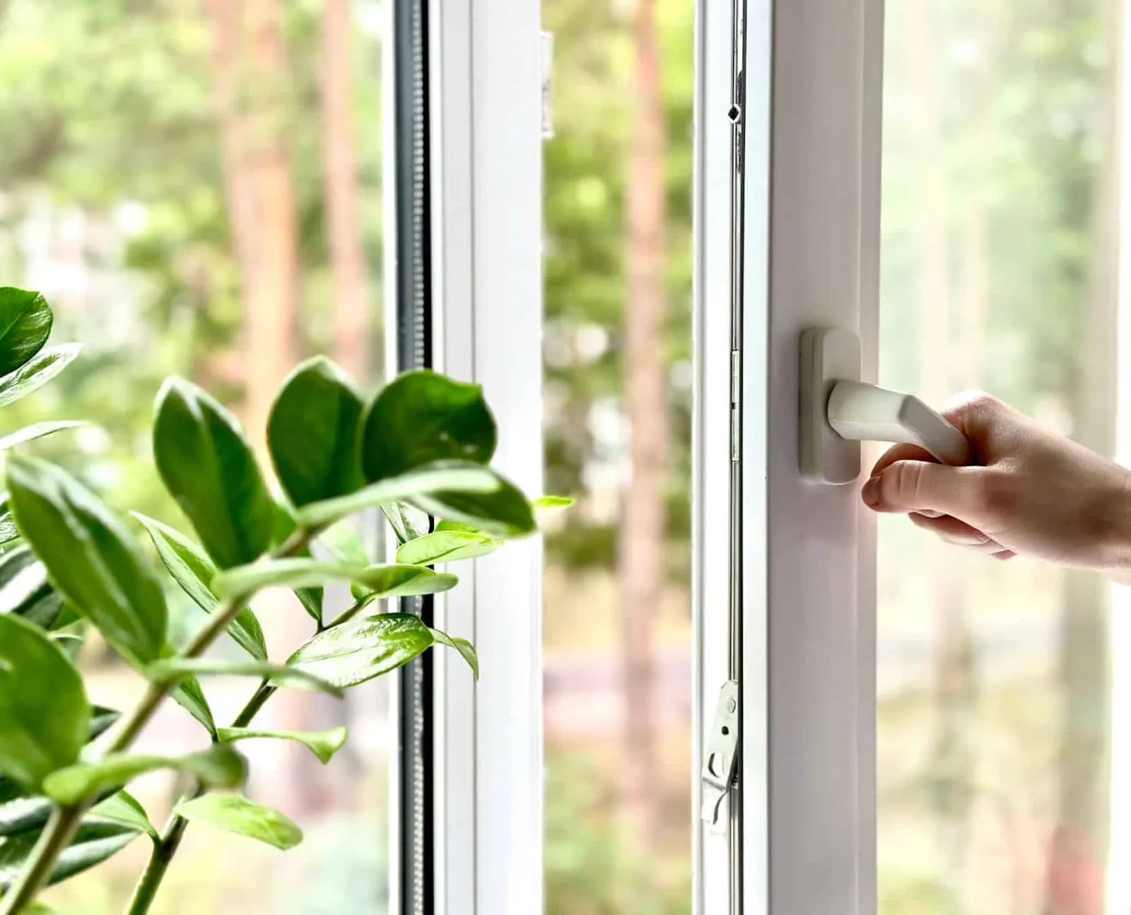 glazing windows