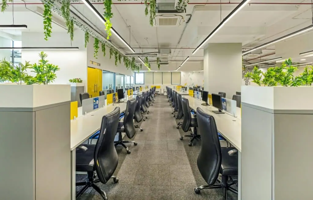 Open-plan office with workstations, linear ceiling lights and indoor plants