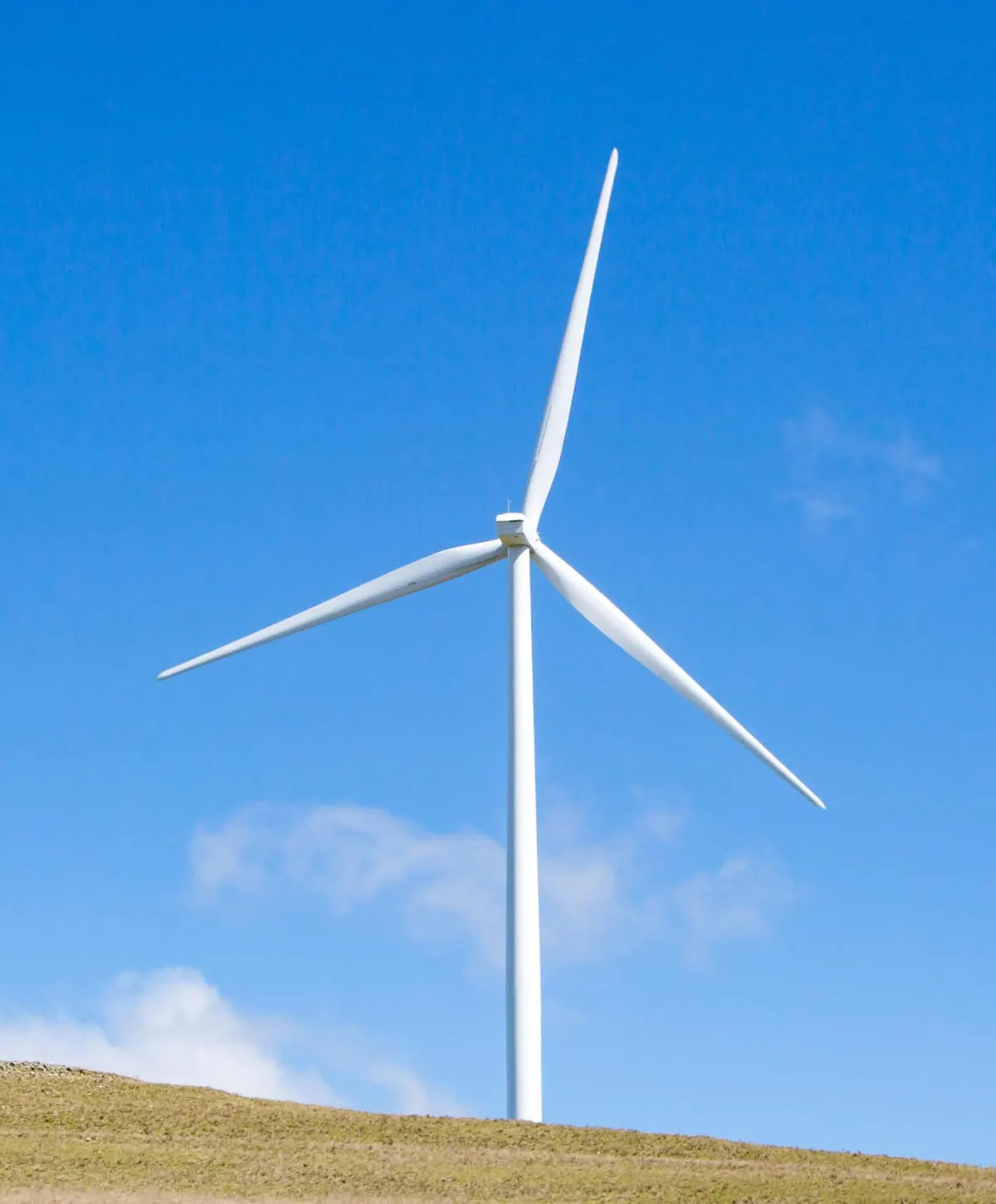 wind turbine